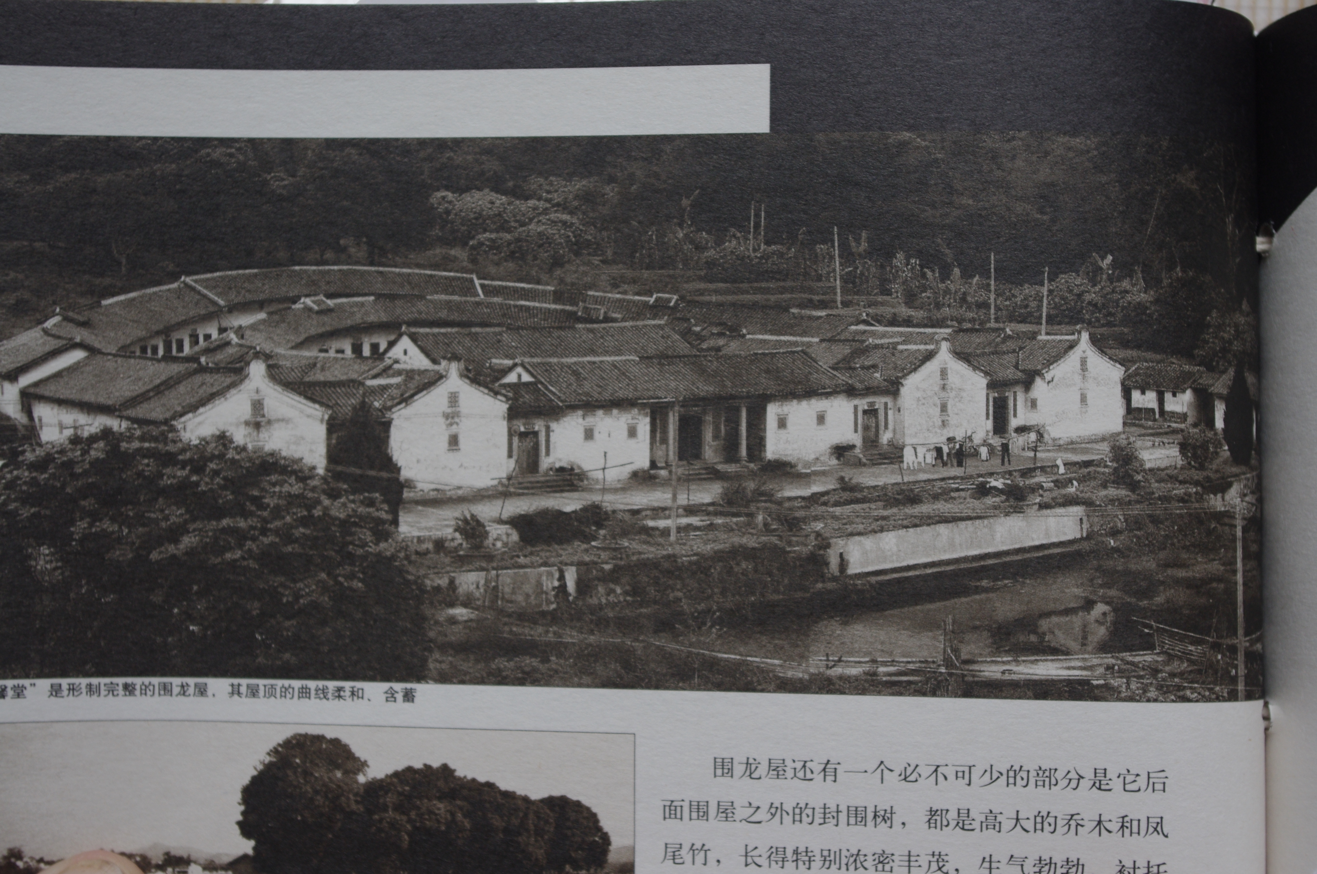 附照14