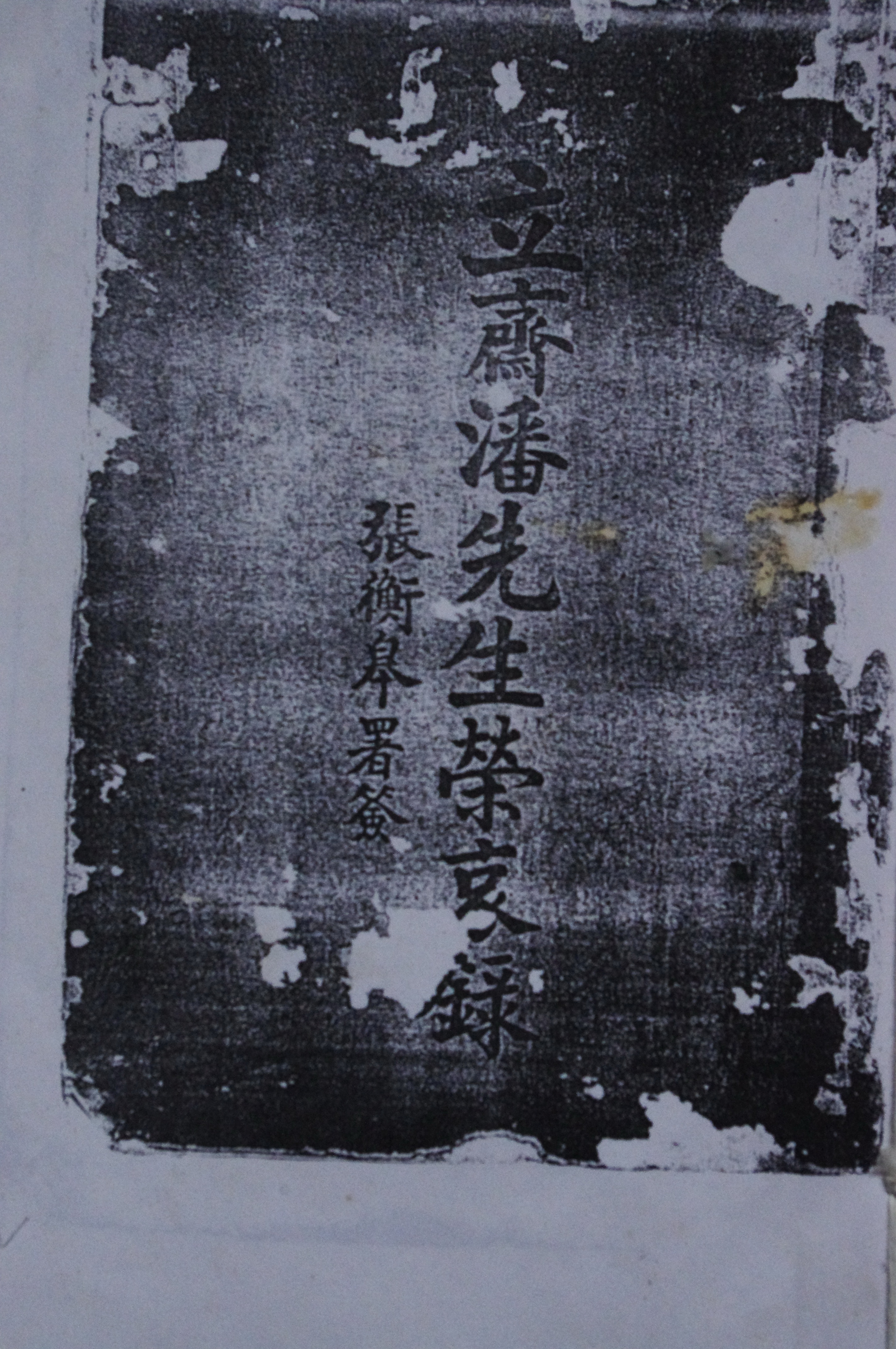 附照13a