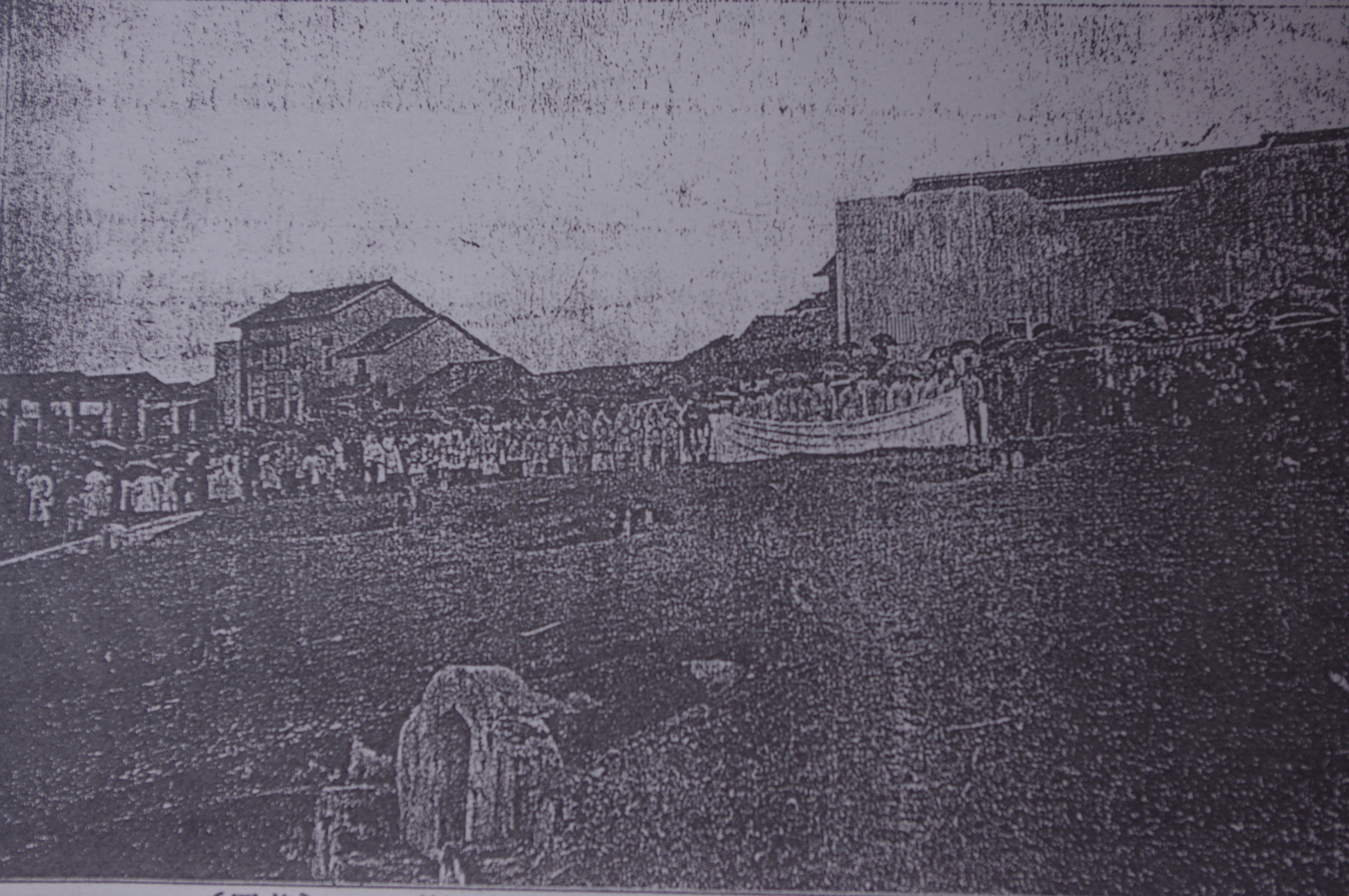 IMGP0729